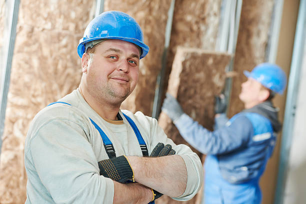 Best Soundproof Insulation Installation  in Catlettsburg, KY