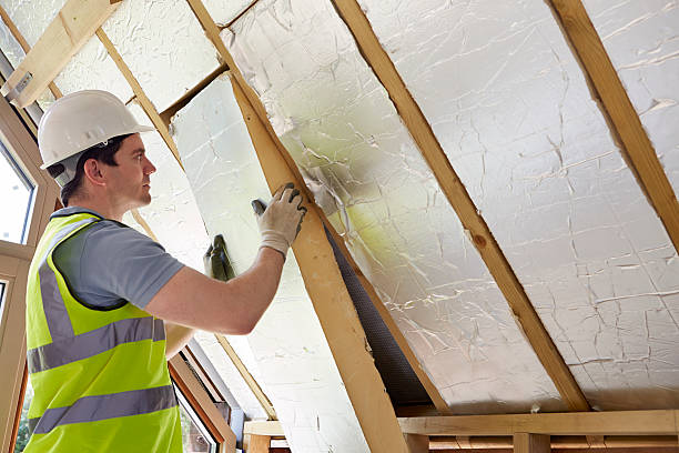 Best Energy-efficient Insulation  in Catlettsburg, KY